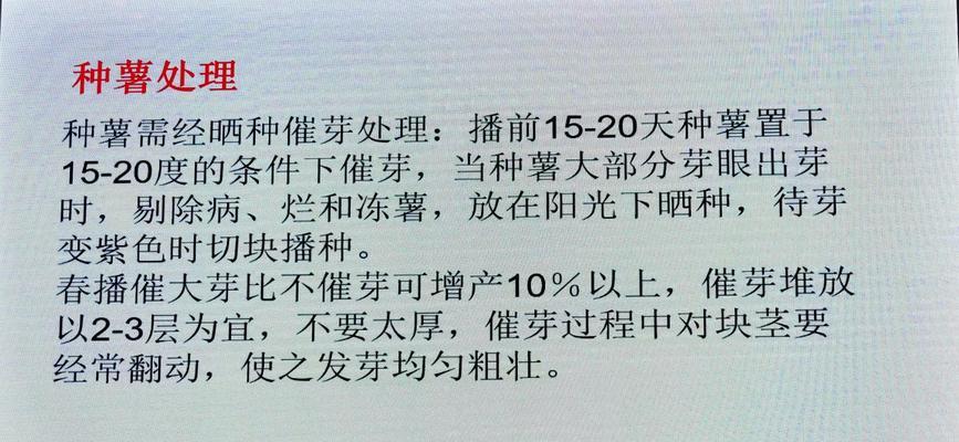 商品薯栽培技术有哪些？不同种类的栽培方法有何不同？