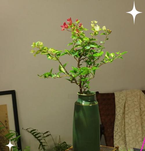 无土栽培插花的关键技术要点是什么？