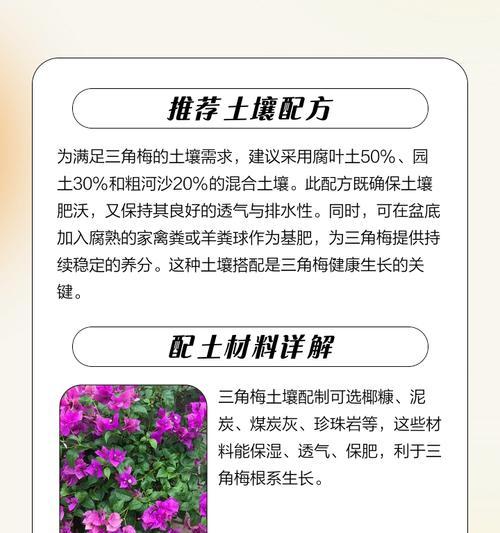 三角梅怎么摘才能种植？三角梅的种植方法是什么？