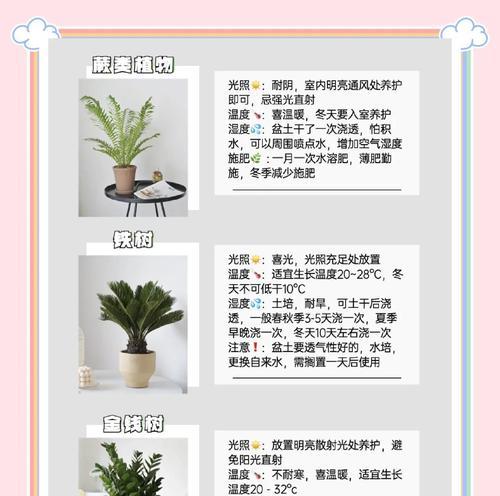 盆景室内生虫的处理方法有哪些？