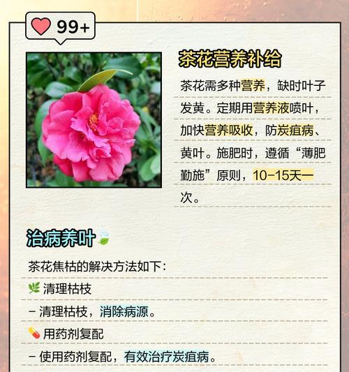映山红叶子发黄的原因是什么？如何预防和处理？