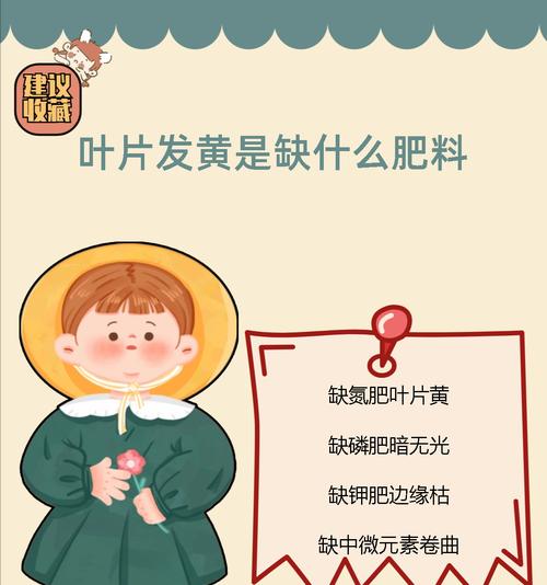 硼肥用多了叶子发黄怎么办？如何调整施肥？