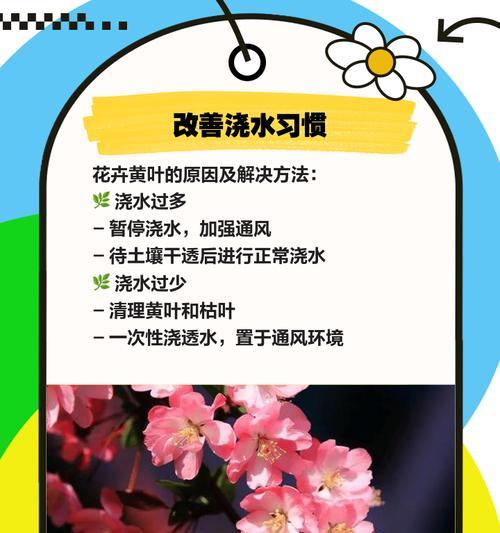 硼肥用多了叶子发黄怎么办？如何调整施肥？