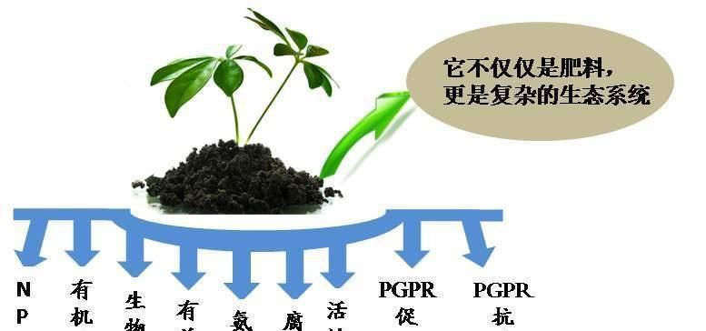 自制豆沫发酵菌液肥料的方法是什么？