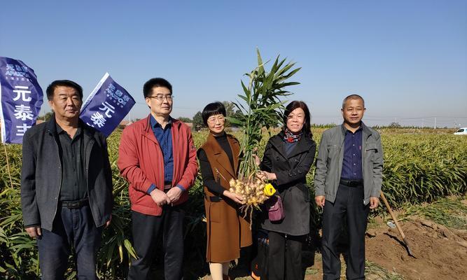 自制豆沫发酵菌液肥料的方法是什么？