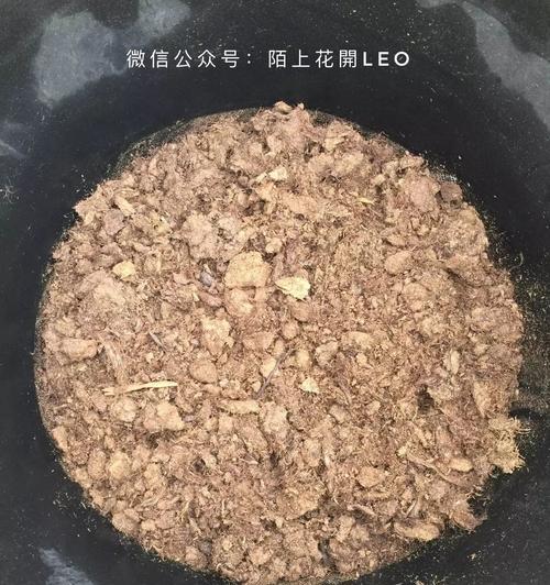 月季蜗牛问题的处理方法是什么？