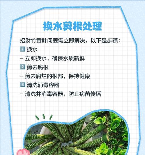 森林小竹叶子发黄的急救措施是什么？