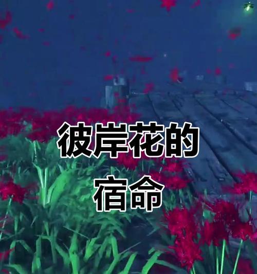 哪种花象征着无法触及的爱？无法触及的爱花语是什么？
