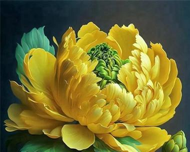 富贵荣华的花有哪些？它们的象征意义是什么？
