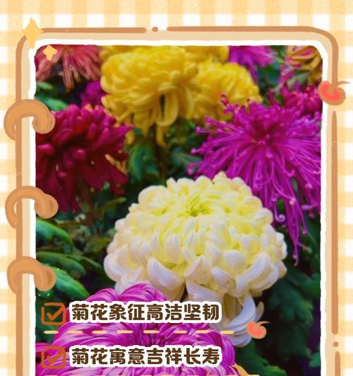 花语中有哪些美好寓意？