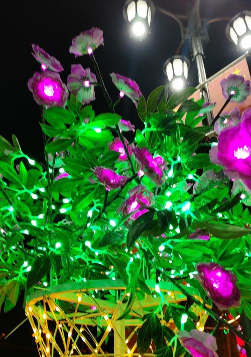 发光的花代表什么？发光植物的花语有何特殊之处？