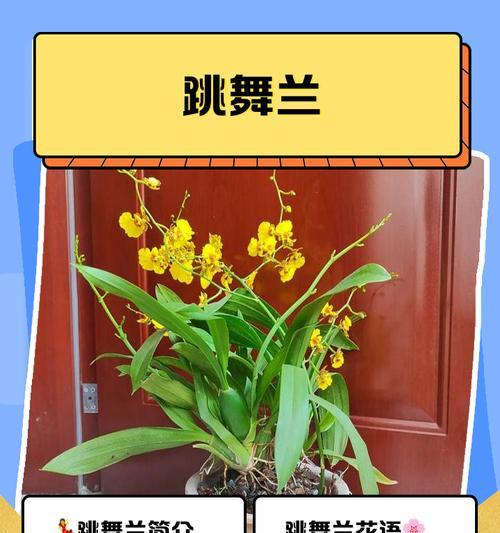 诗路花语的创作灵感来源是什么？它的灵感来自哪里？