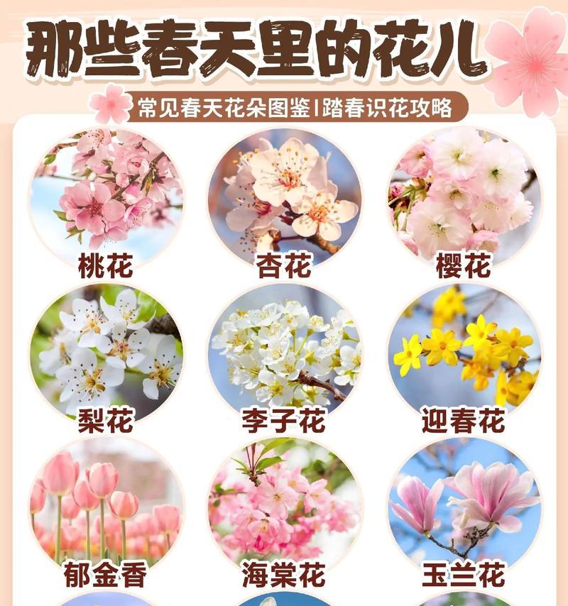 诗路花语的创作灵感来源是什么？它的灵感来自哪里？