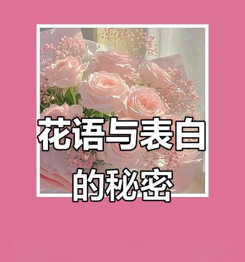 送花给老婆有何特别含义？