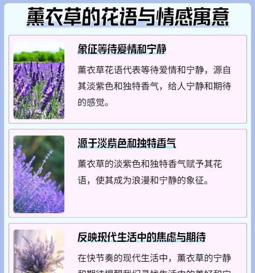 各种花的花语和寓意及图片是什么？它们分别象征着什么？
