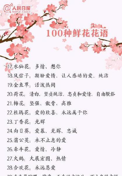 各种花的花语和寓意及图片是什么？它们分别象征着什么？