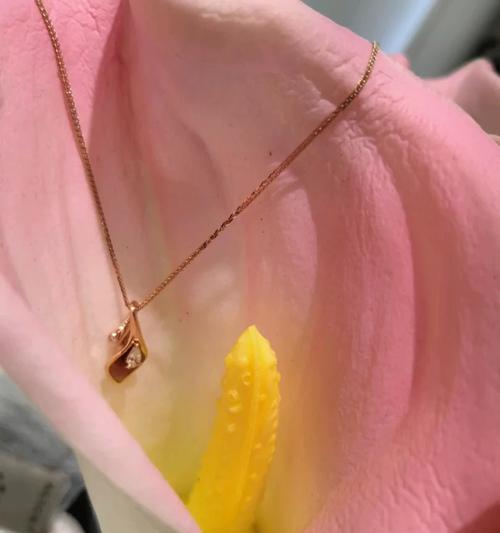 孔雀花寓意什么？它在花语中的地位如何？