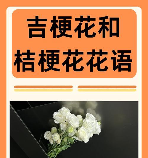 永久花的花语和象征意义是什么？了解永久花的深层含义