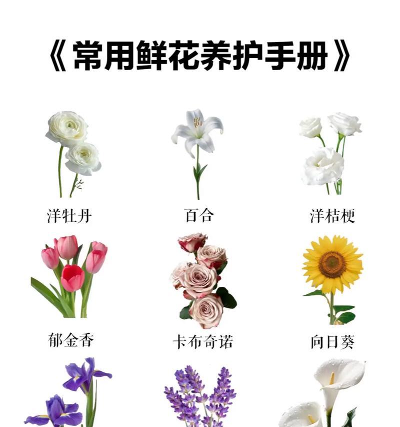 醒花在花艺中的含义？对展示效果有何影响？