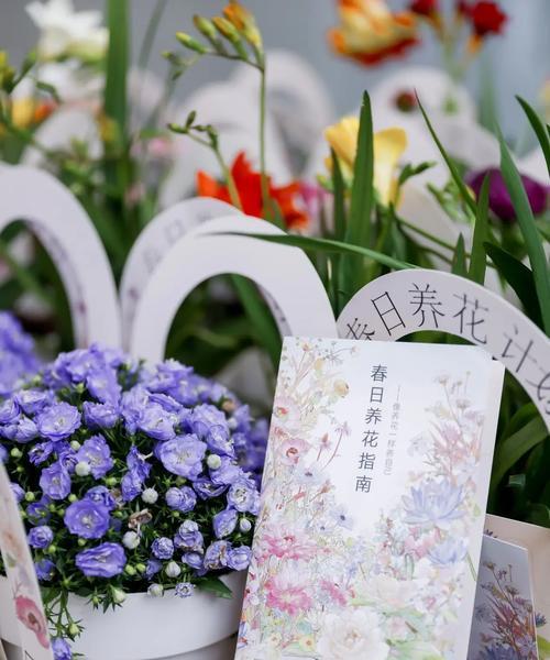 醒花在花艺中的含义？对展示效果有何影响？