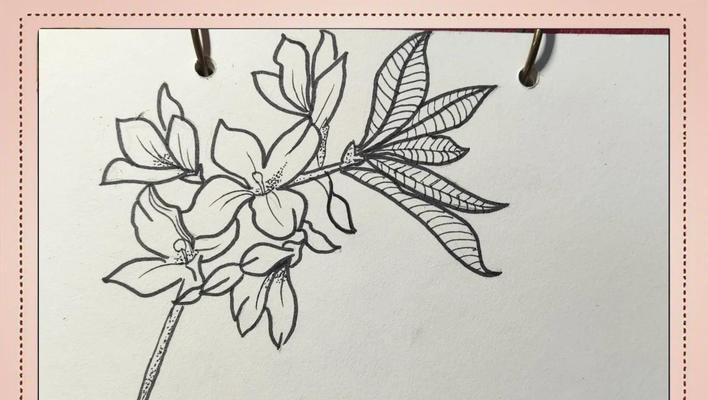 花卉与预言有何关联？花卉的预言含义是什么？
