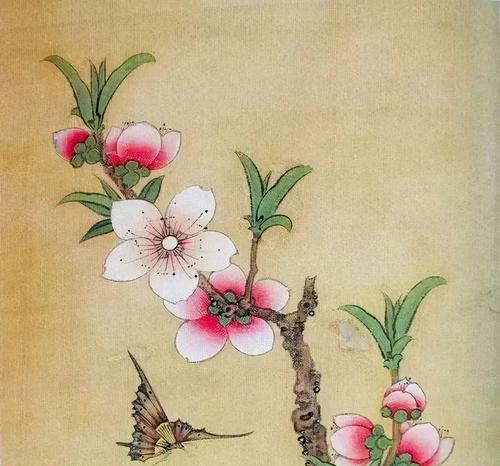蝴蝶花鸟画中的鸟象征什么？