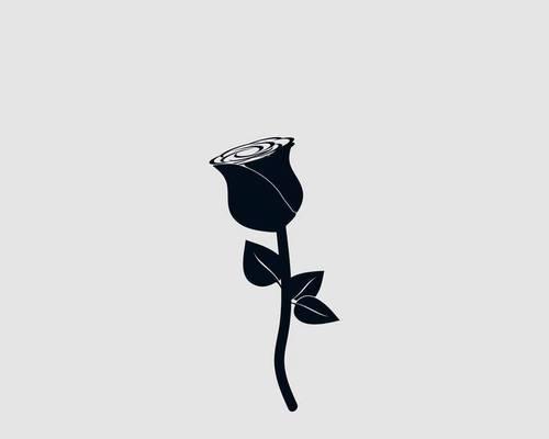玫瑰花符号代表什么？如何正确解读玫瑰花符号？