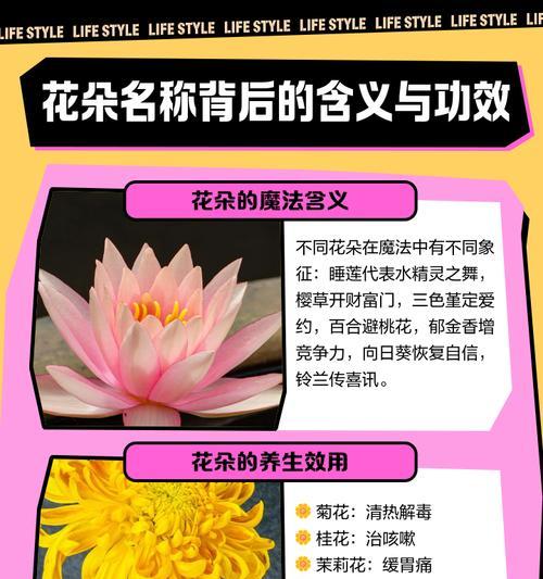 花语是什么意思？花语背后的含义有哪些？