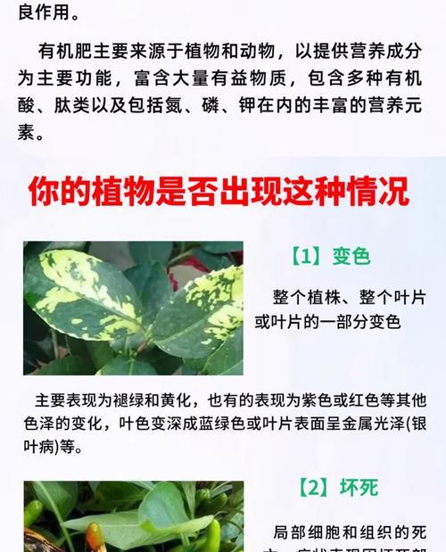 酸性花种类的含义是什么？酸性土壤中生长的花有哪些特殊意义？