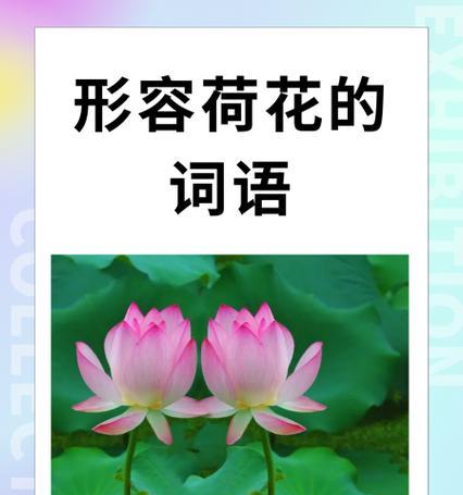 花的词语在语言中表达什么？花语中花的词语通常代表什么？