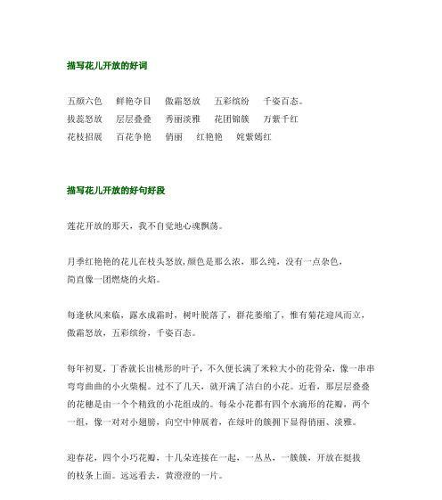 花的词语在语言中表达什么？花语中花的词语通常代表什么？