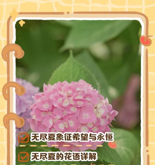 了解百花杯的深层含义？
