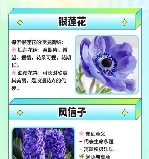 花卉象征意义辨识：哪些花象征性最明显及其识别方法？