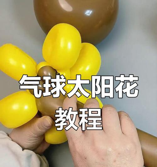 气球花的含义是什么？气球花象征着什么？