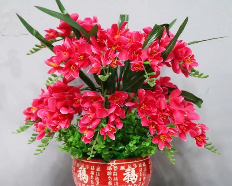 永生花代表了什么含义？