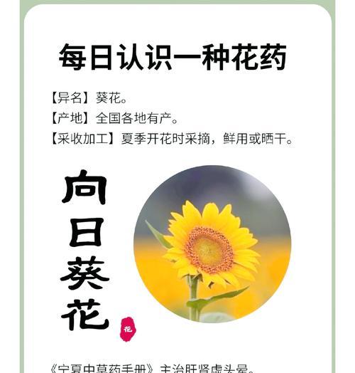 向日葵的花语有哪些？它代表了什么情感？