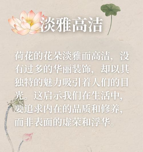 花朵被玷污的象征意义是什么？肮脏的花在文化中的含义是什么？