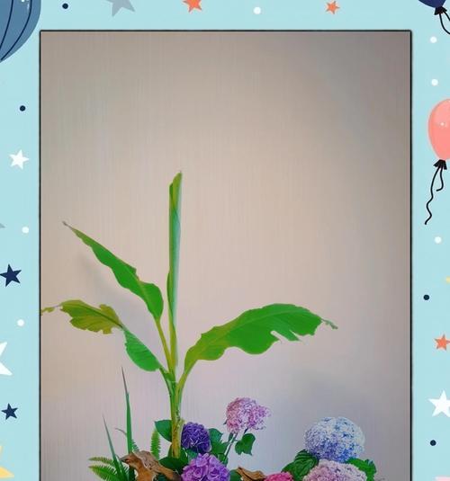 紫阳花的隐晦含义是什么？不同文化中紫阳花的象征意义有哪些？