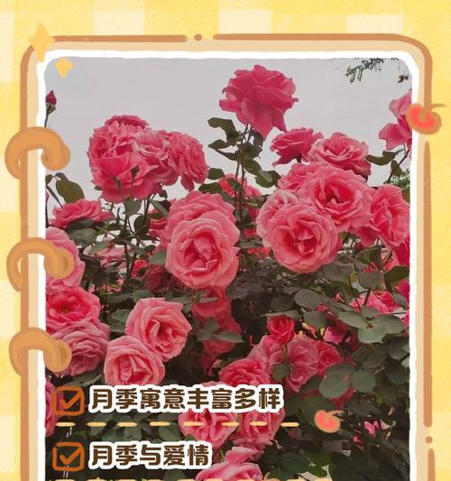 花的季节寓意和象征句子有哪些？