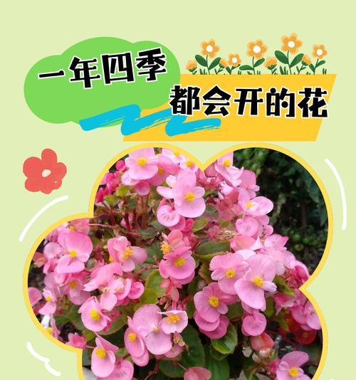 花的季节寓意和象征句子有哪些？