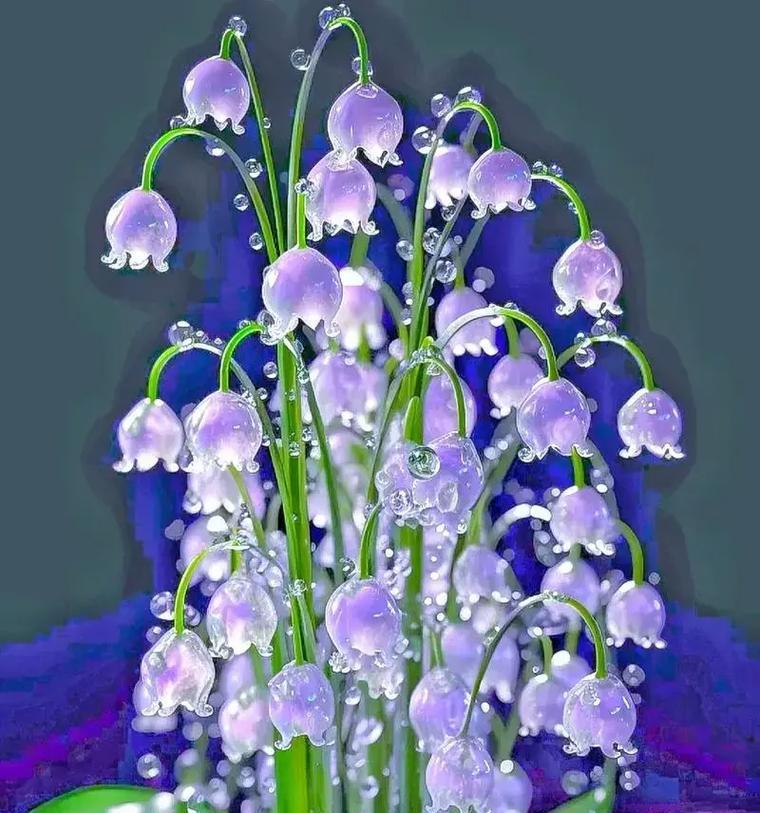 象征鲜活生命力的花有哪些？它们的花语是什么？
