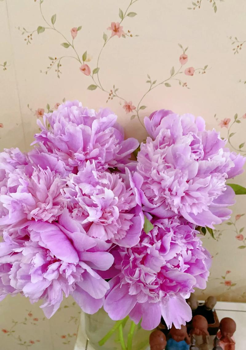 锦中花的象征意义是什么？