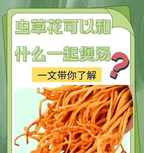 春草花的含义和象征意义是什么？