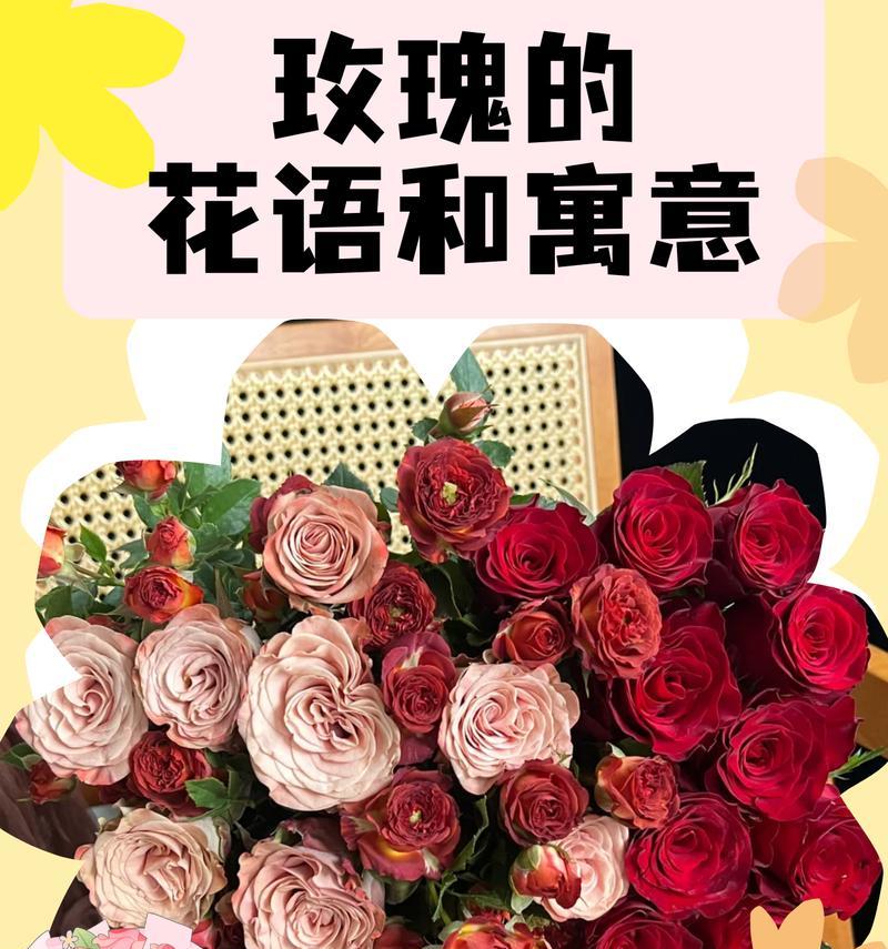 玫瑰花的含义是什么？玫瑰花语有哪些？
