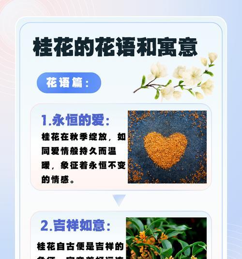 象征爱与忠诚的花有哪些？它们如何表达深厚的情感？