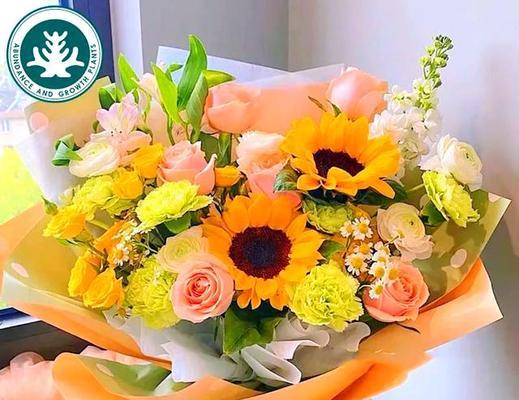 感恩教师的花朵：哪些花象征着对老师的敬意？