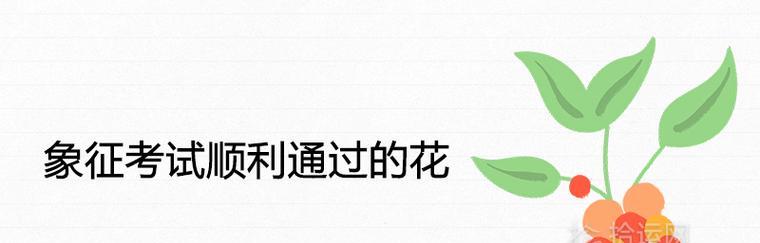 考试顺利的花有哪些？如何选择寓意考试顺利的花？