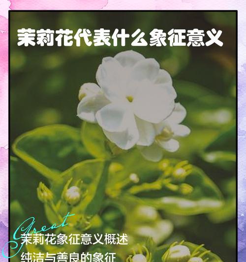 罕见花朵的特殊象征意义是什么？