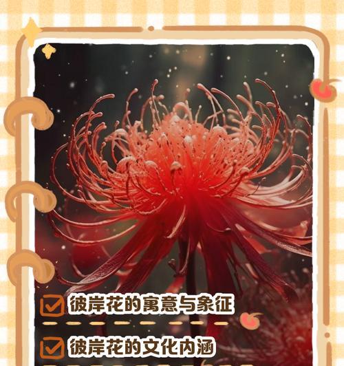 彼岸花寓意何在？