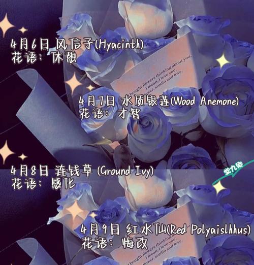 天道树花在宗教哲学中的意义是什么？